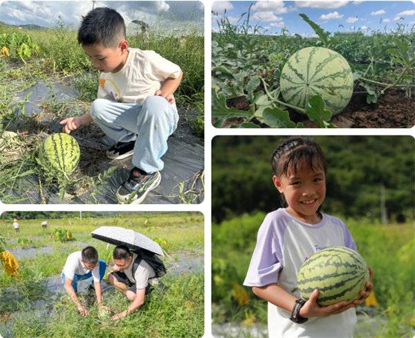 趣游盛夏，一路童行—2024年廣東博皓親子游   -12